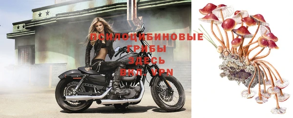 твердый Карталы