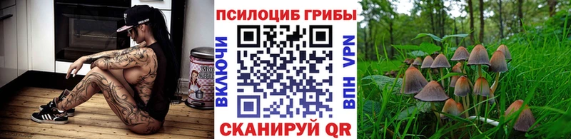 Купить  Ливны  Галлюциногенные грибы прущие грибы 